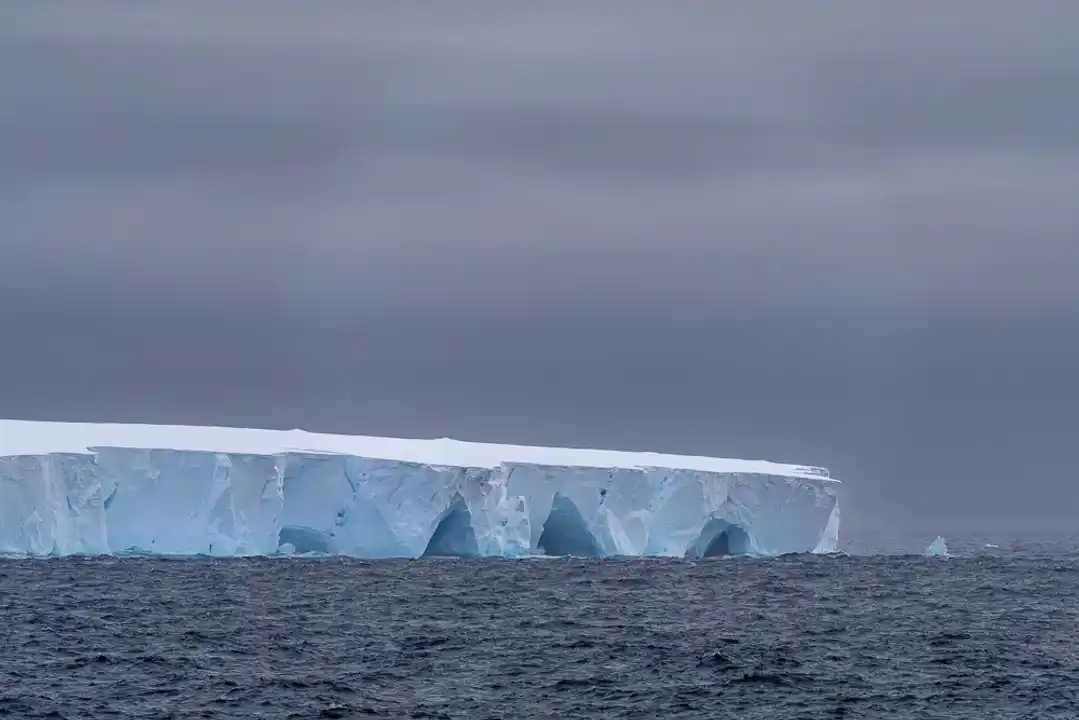 El iceberg más grande del mundo se desprendió de la Antártida y navega por el océano: investigan qué impacto tendrá
