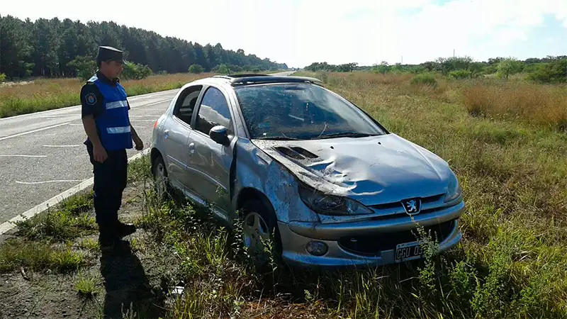 Ruta 12: chocó un carpincho, despistó y terminó en el hospital 