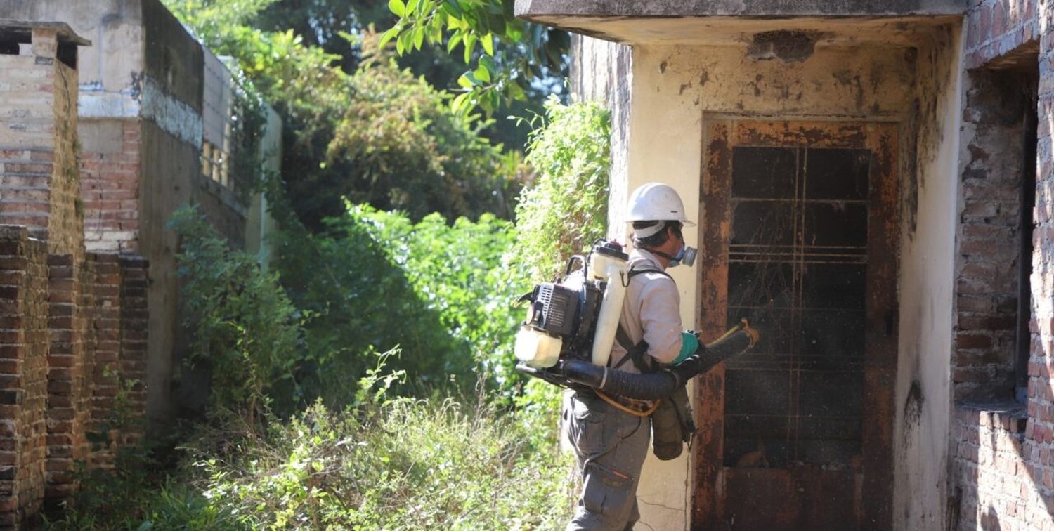 El dengue se dispara en General Obligado: concentra más de la mitad los casos de la provincia