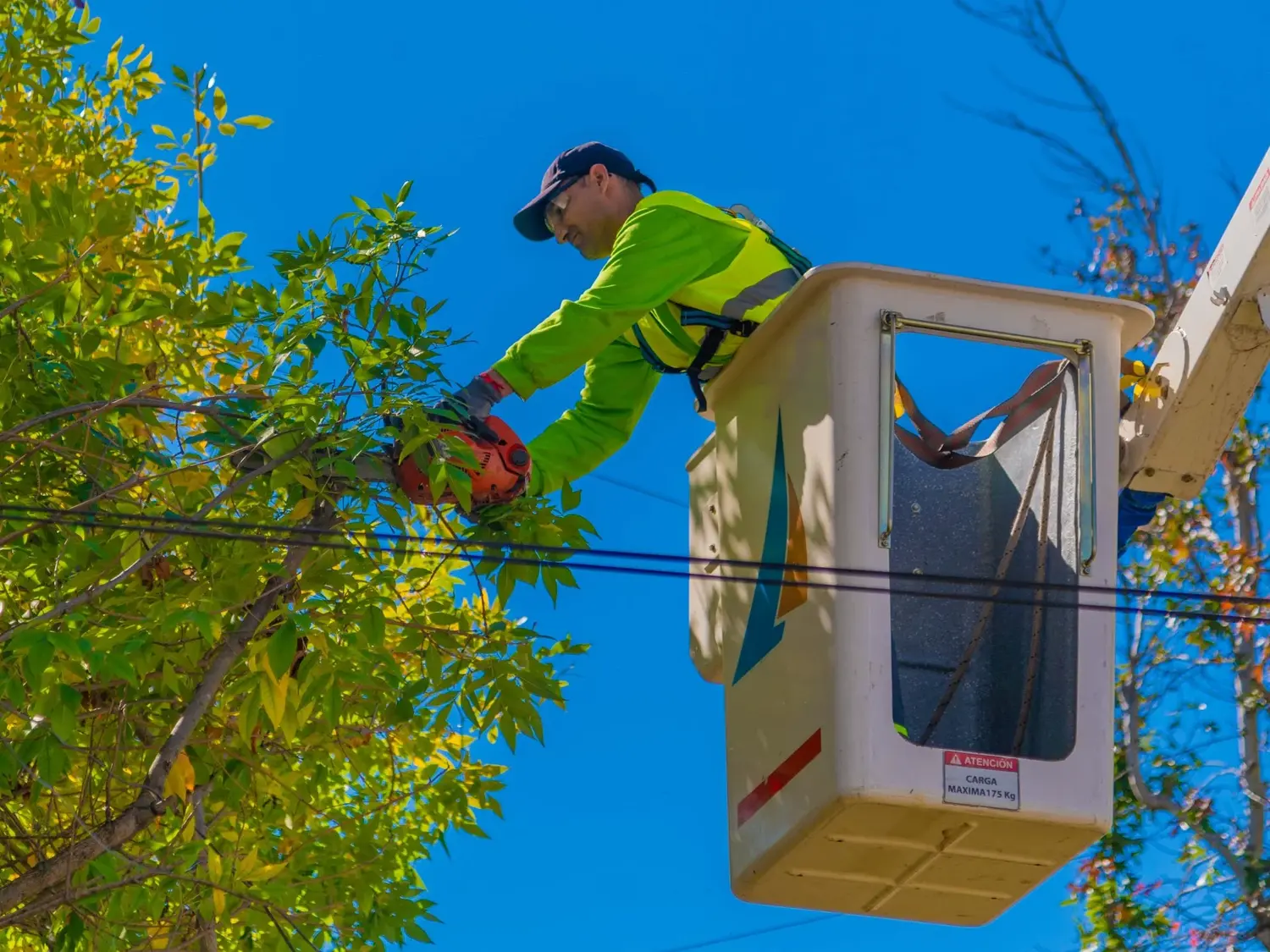 La EPE continuará con tareas de poda preventiva en tres barrios de Rafaela