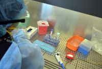 El Consorcio Argentino de Genómica de SARS-CoV-2 confirmó la circulación de nuevas cepas 