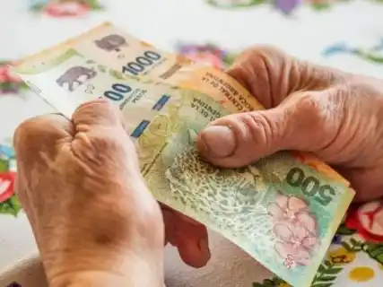 Gastos hogareños: se comió menos carne, se cortaron salidas y se exprimió la tarjeta