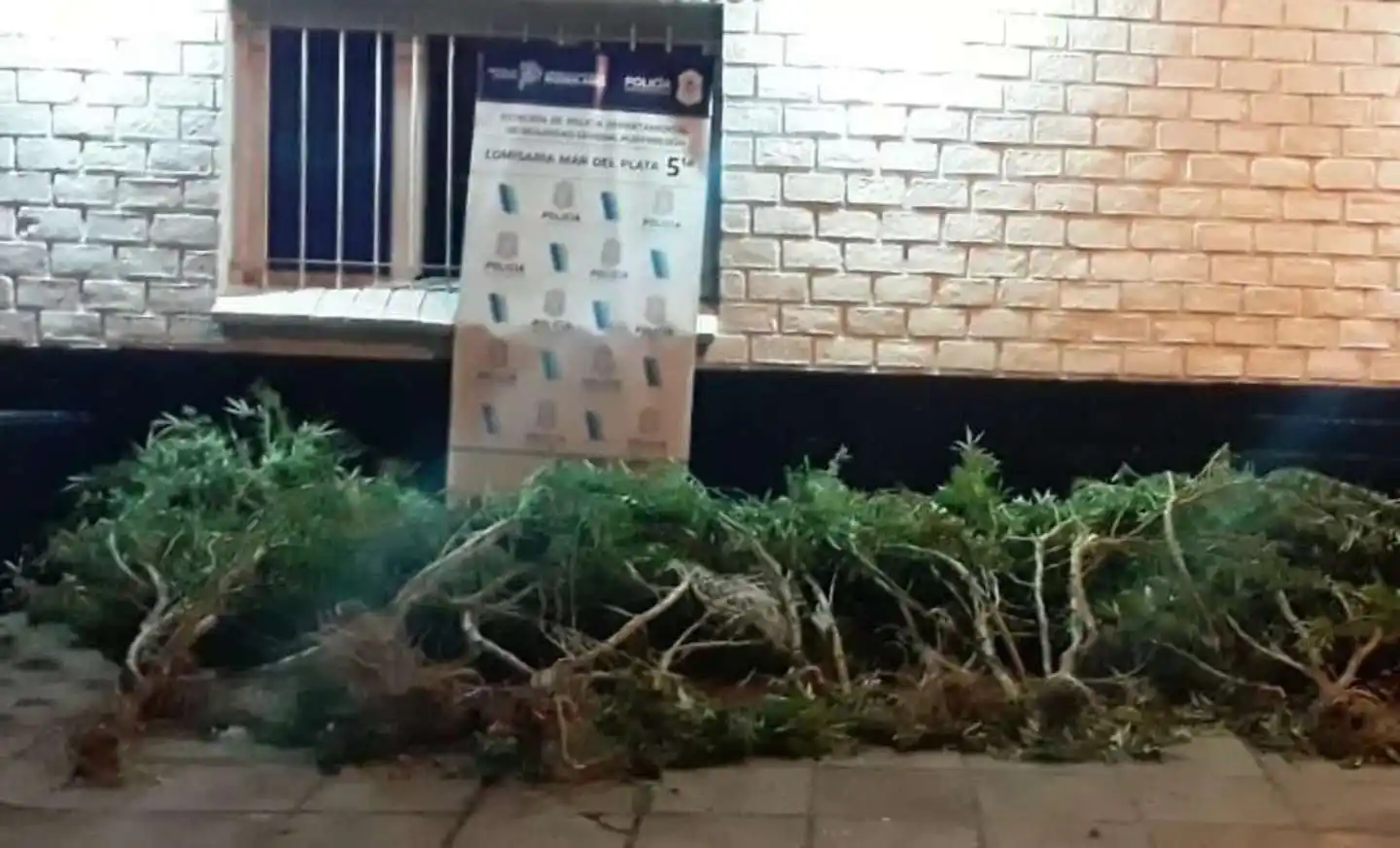 Un niño entró en una plantación electrificada de marihuana y su dueño murió mientras intentaba salvarlo