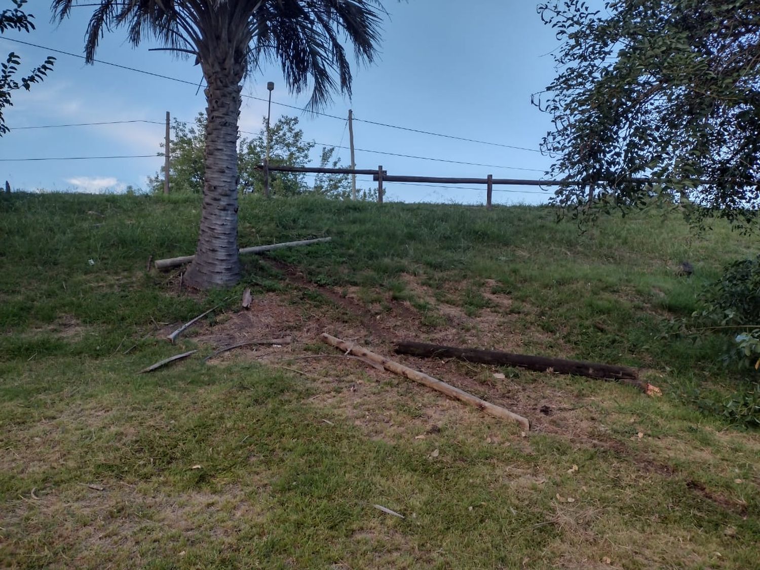 palos parque