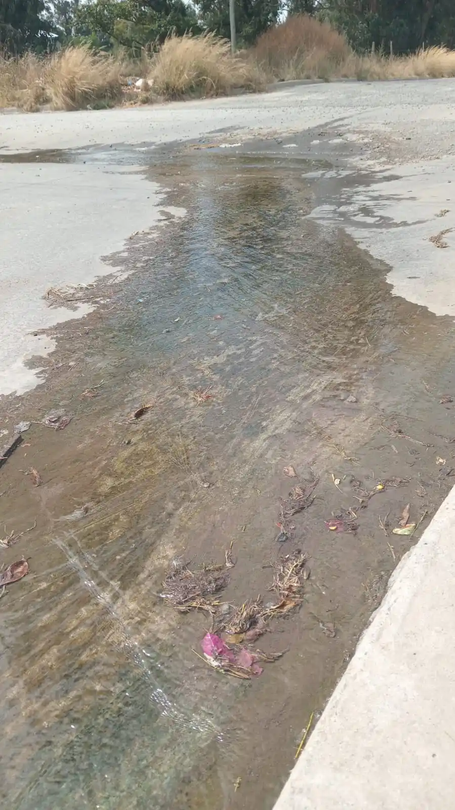 Marzoratti esquina Muñiz, la esquina peligrosa.