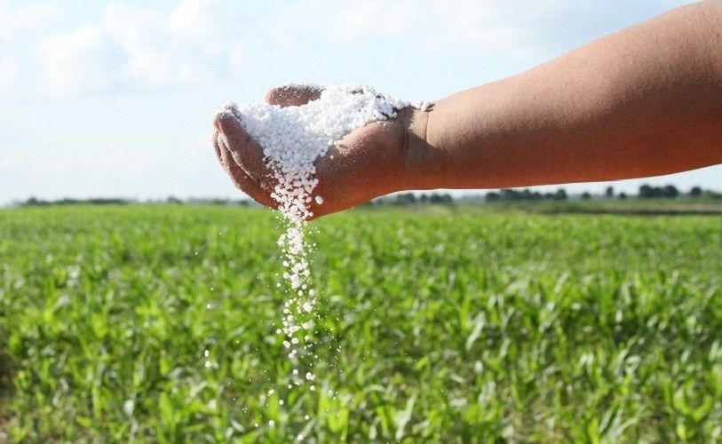 Notable baja mundial y local en el precio de los fertilizantes