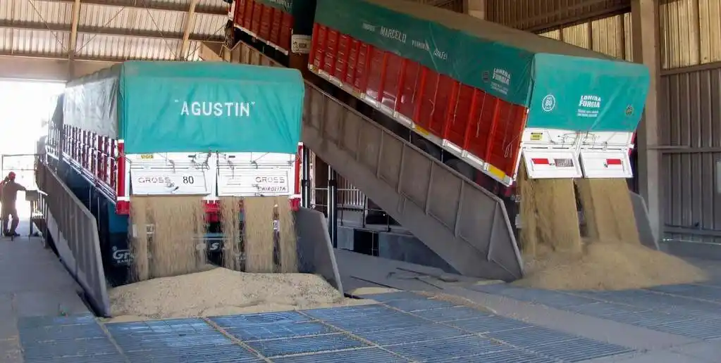 La anticipación también se refleja en las DJVE del complejo, con crecientes registros para embarques post-30J.