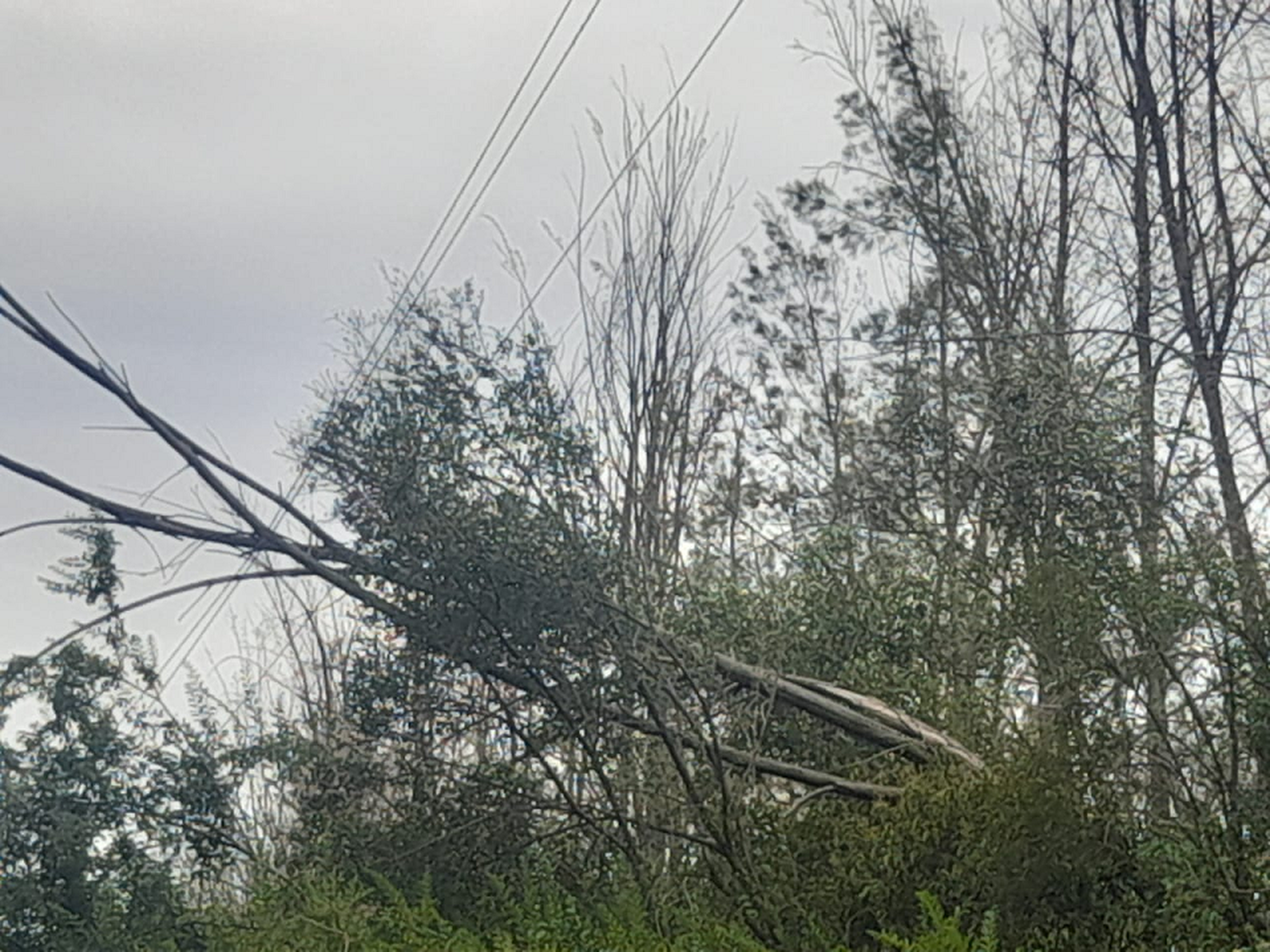 Tormenta y corte del servicio eléctrico