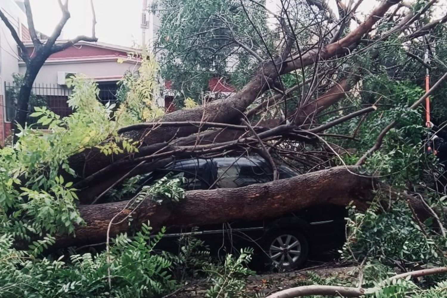 Temporal en Rosario.