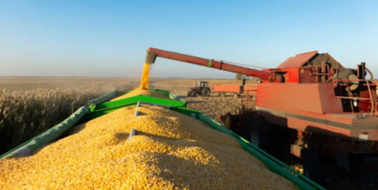 La actividad de Agricultura, ganadería, caza y silvicultura (17,9% i.a.) fue a su vez la de mayor incidencia positiva en la variación.