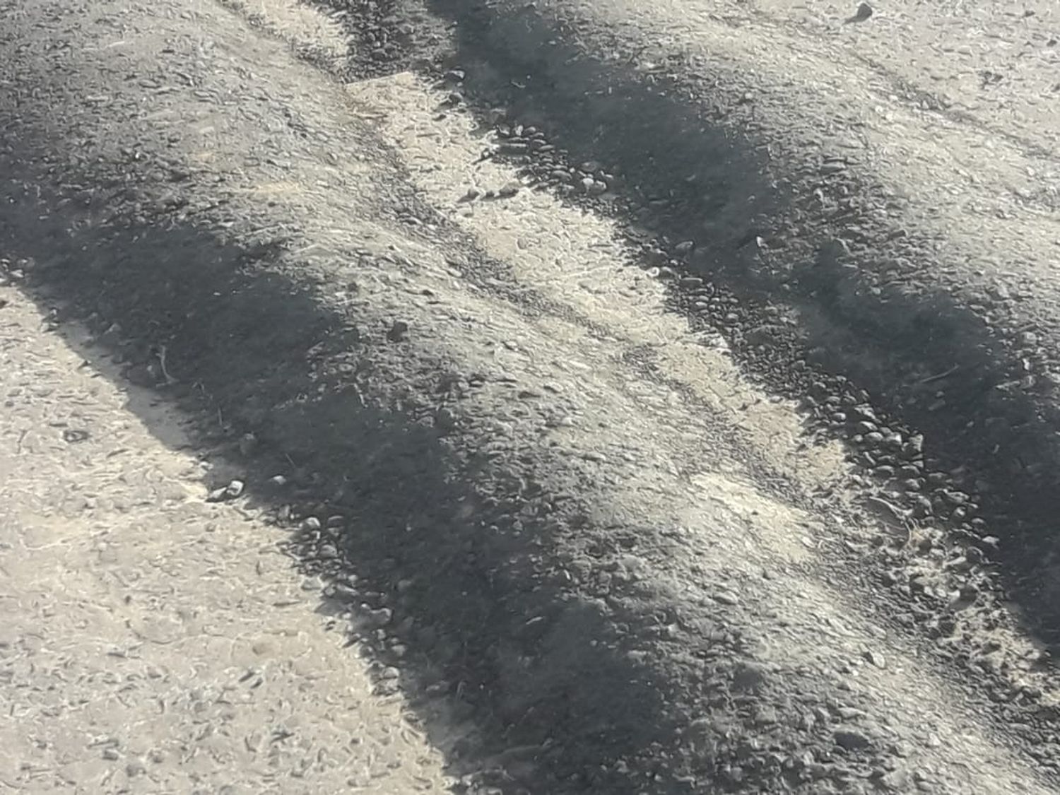 Reclamo: ¿Quién mandó a hacer estos reductores en calle Caseros?