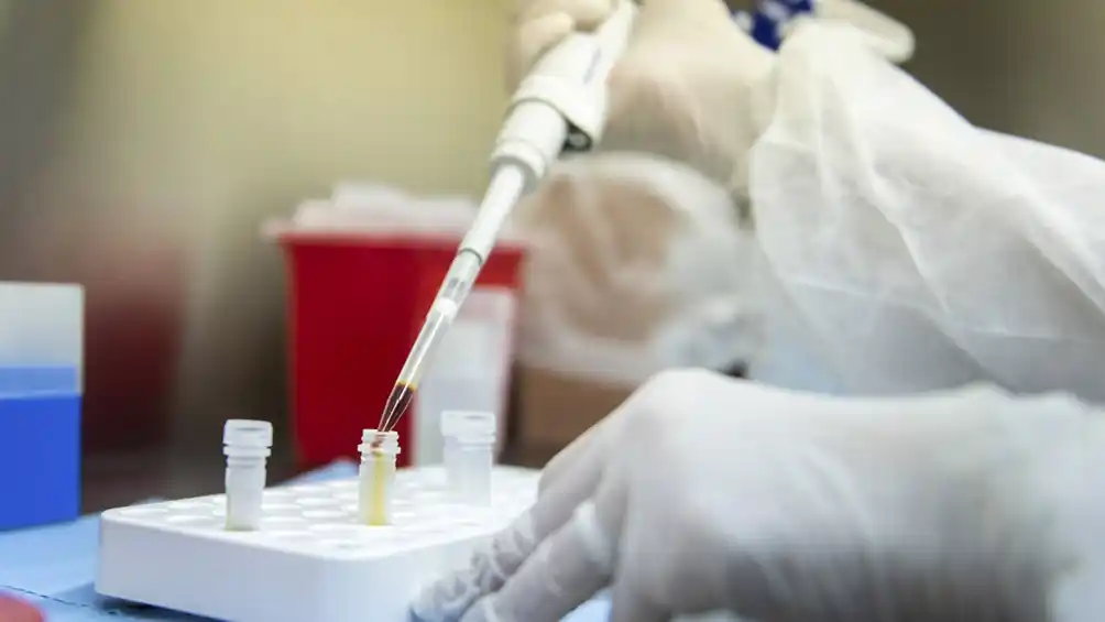 Coronavirus: Argentina participará del ensayo clínico de molnupiravir, un potencial antiviral