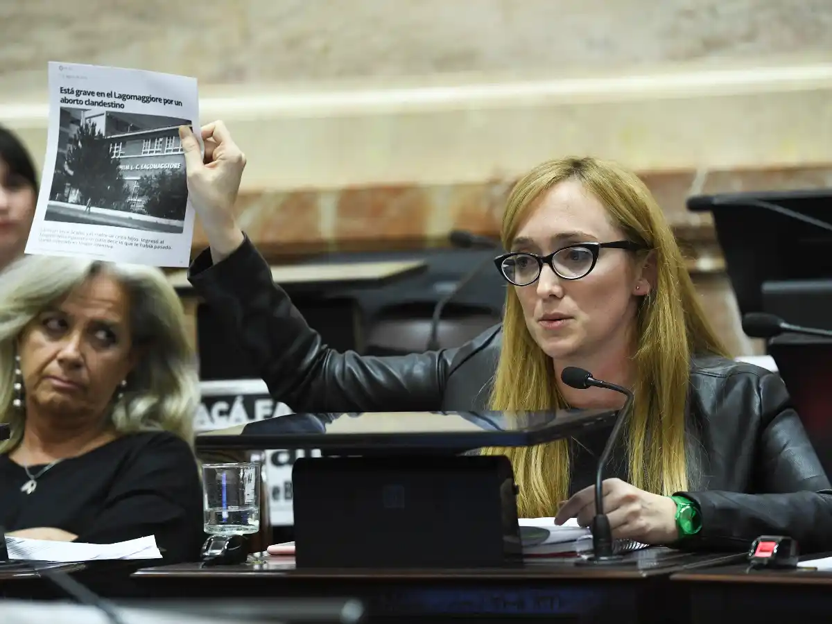 El resultado del debate sobre legalización del aborto, voto a voto