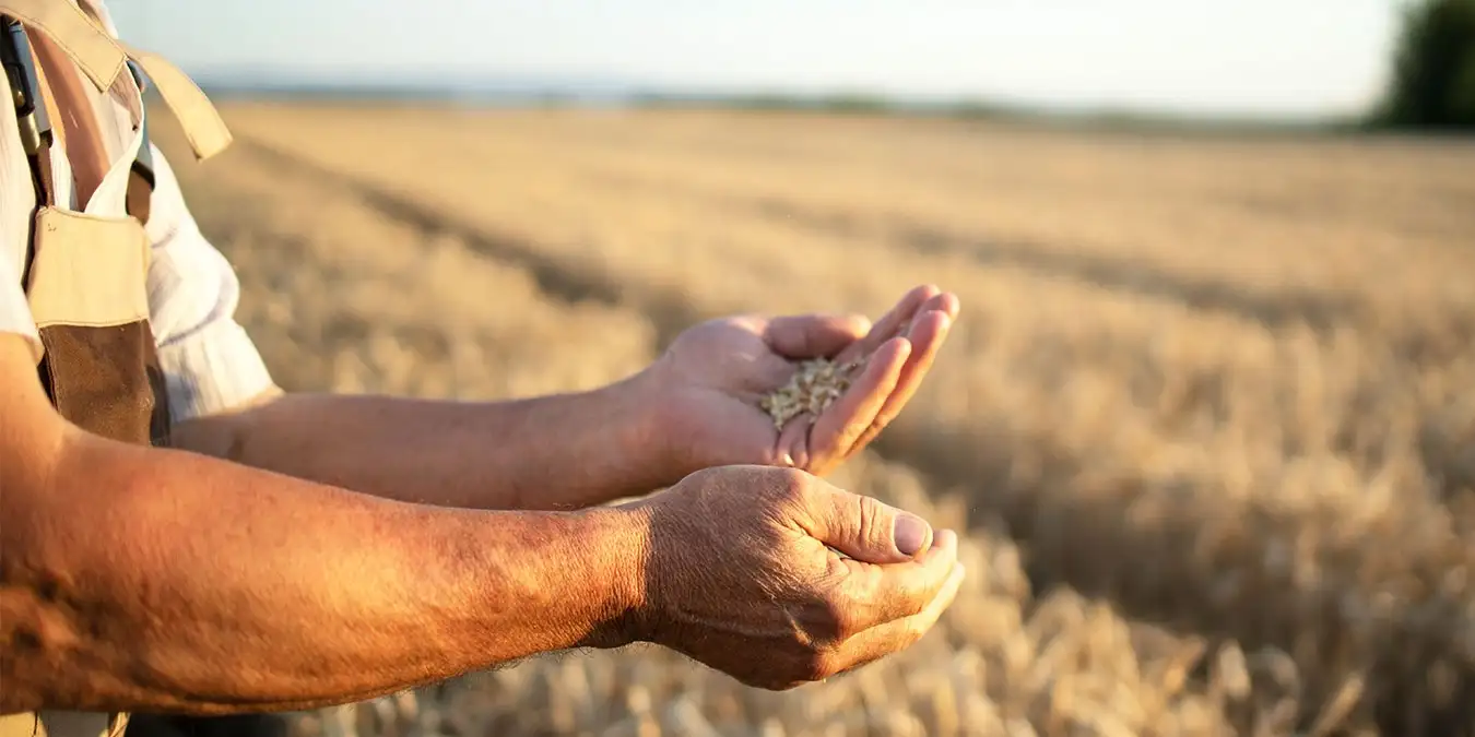 El agro podría expandirse un 90% en una década si se eliminan retenciones y se corrigen cuellos estructurales
