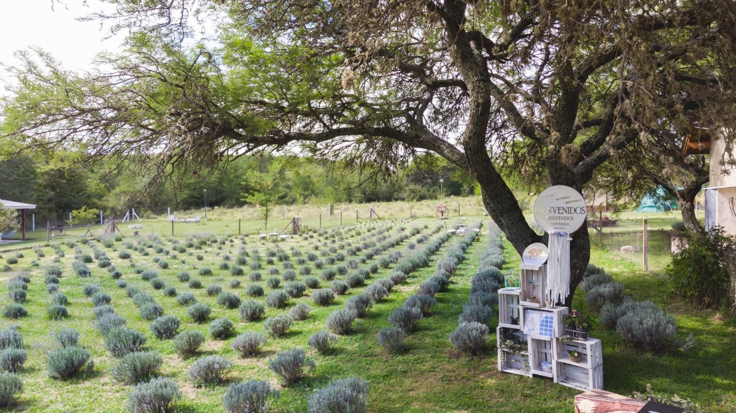 Die Lavendel, un paraíso natural en Villa General Belgrano.