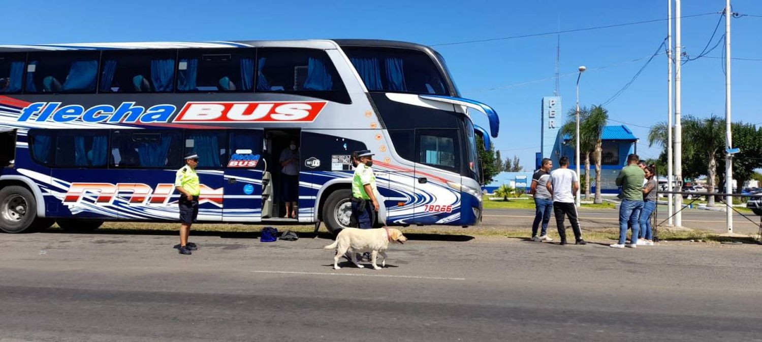 Un hombre transportaba marihuana en un colectivo de larga distancia