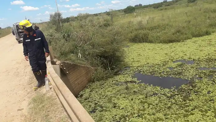 Evitó que un conductor que cayó desde un puente muriera desangrado