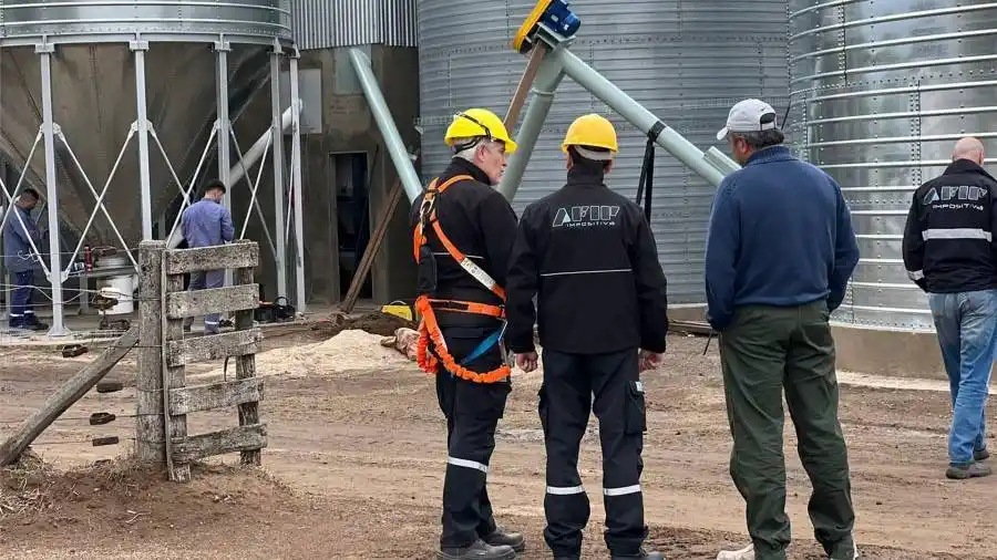 La AFIP incautó 4.560 toneladas de granos, valuados en más de $160 millones