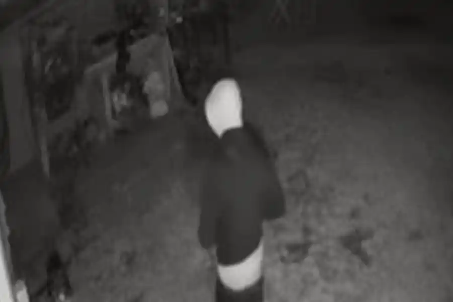 Robaron mercadería y dinero desde una verdulería: quedaron grabados por las cámaras