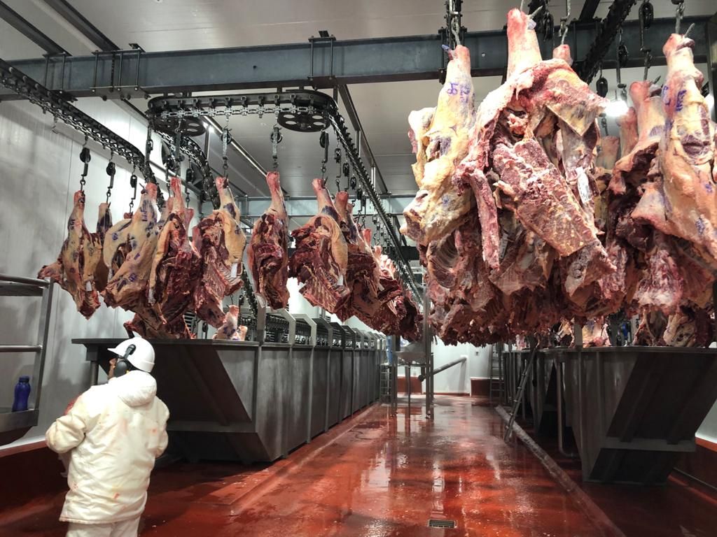 Brindaron una serie de aclaraciones sobre el brote de Fiebre Q en un frigorífico de la provincia