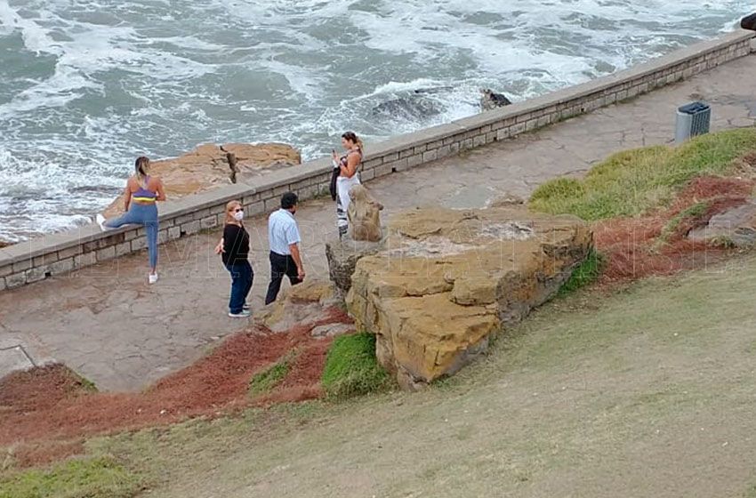 Quince minutos de fama: ya sacaron al perrito de Playa Chica