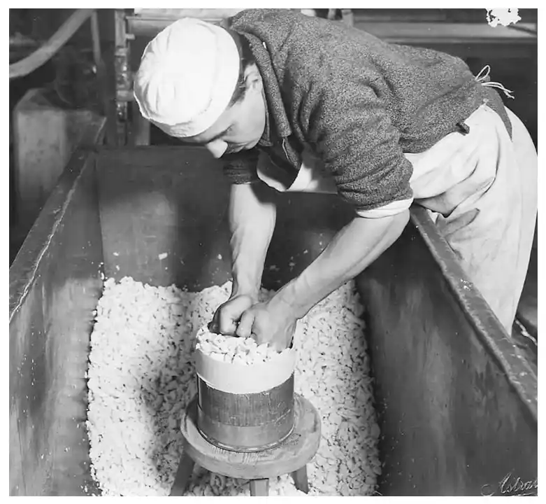 Así se frabricaba el queso cheddar.