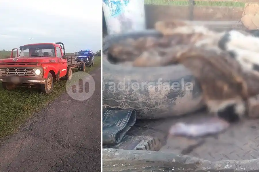 Atraparon cerca de Bauer y Sigel a dos personas que habrían faenado ilegalmente a un animal