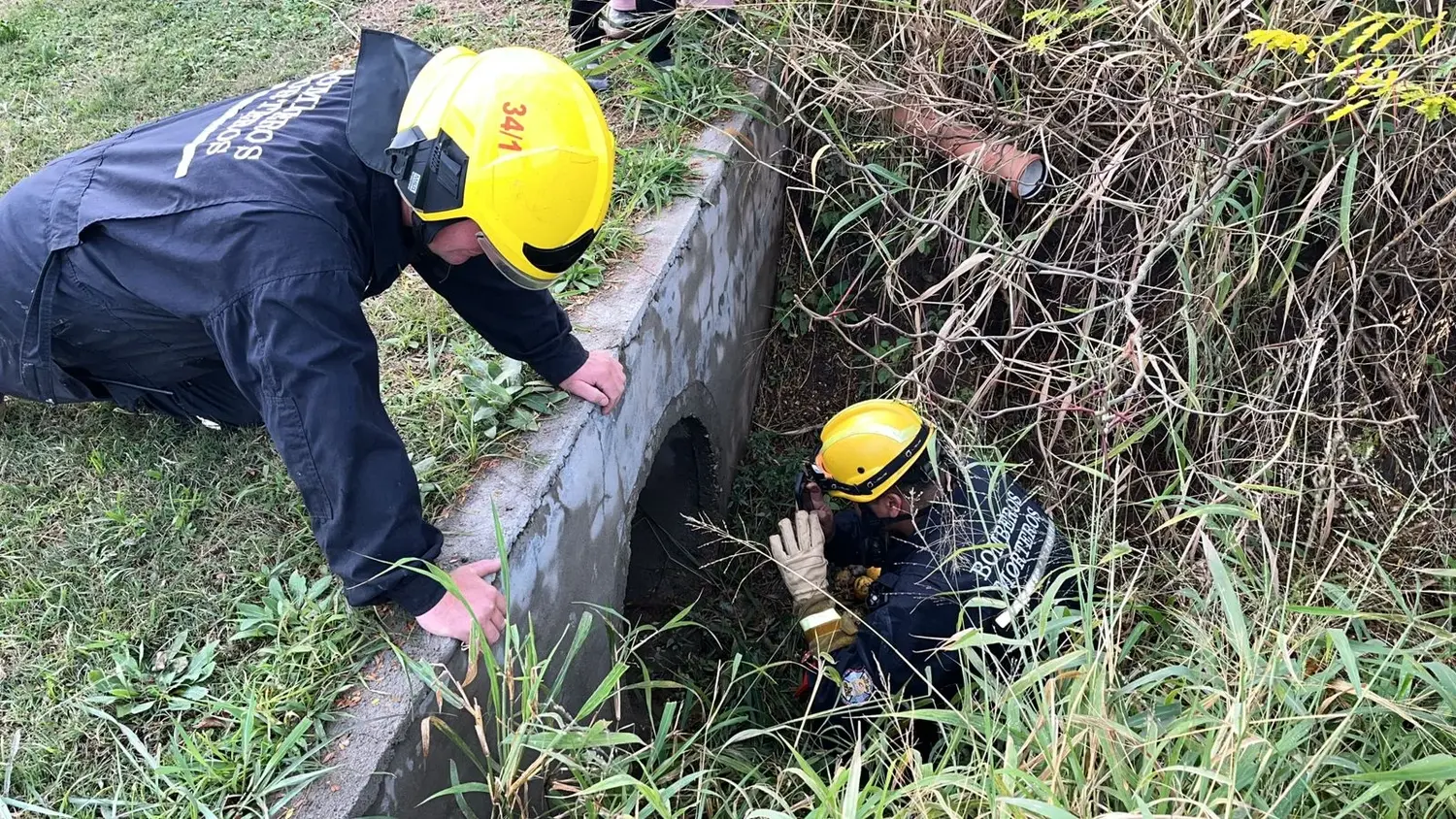 Bomberos rescataron a un perro atrapado en una alcantarilla en Morteros