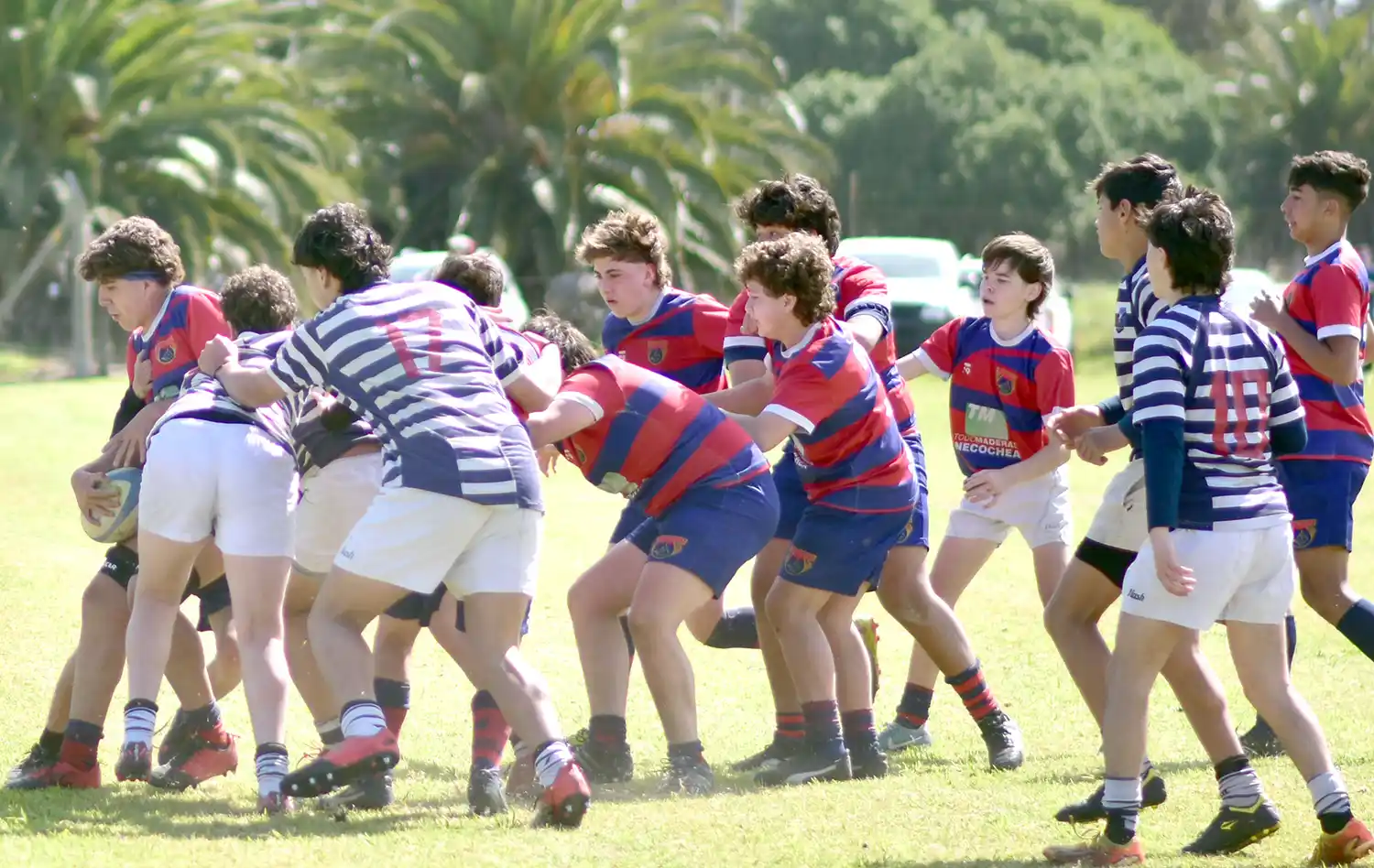 La M15, a la espera de la definición del Torneo de Plata