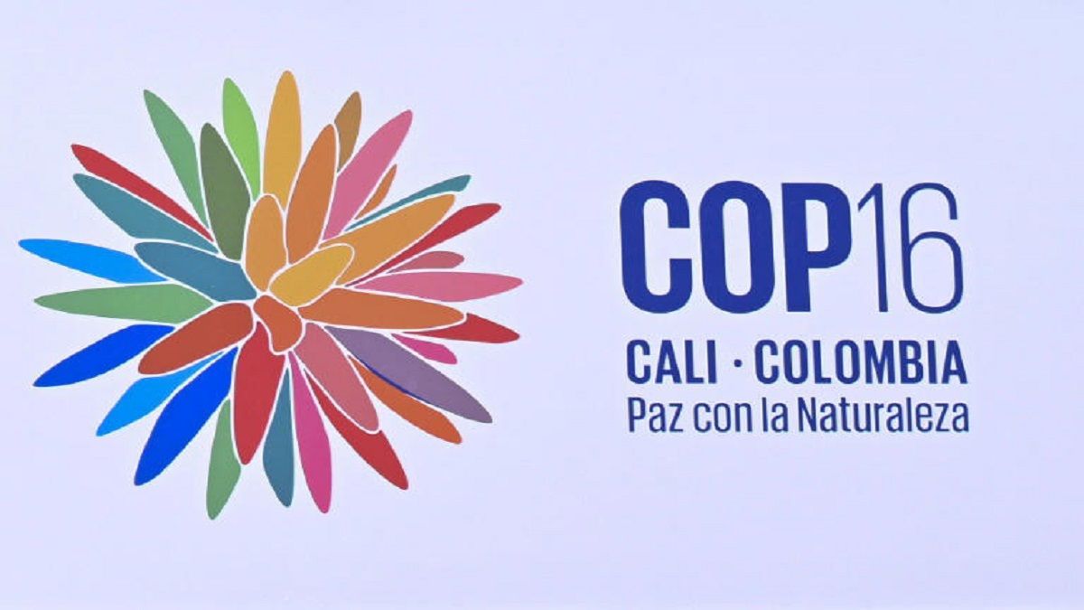 «Paz con la naturaleza»: una COP16 bajo amenaza guerrillera en Colombia
