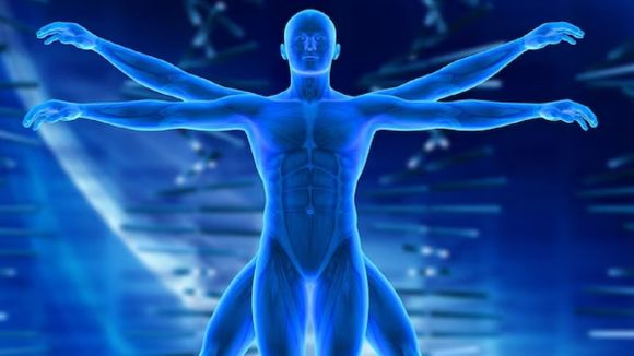 ¿Cuánto late tu corazón? ¿Huesos más fuertes que el acero? 70 cosas que no sabías del cuerpo humano