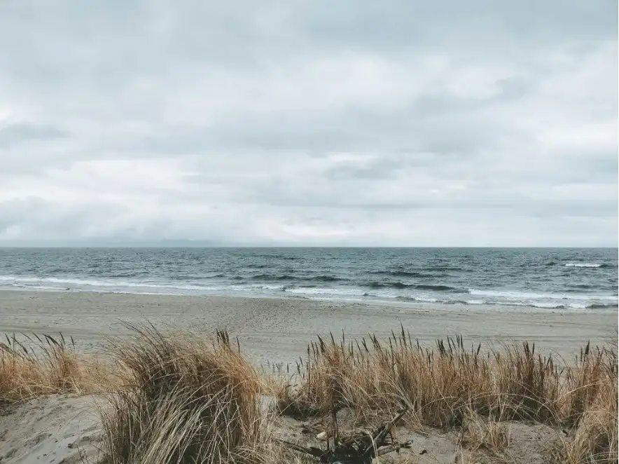 A pesar de que la comunidad de Mar del Plata se considera que de a poco está envejeciendo por su baja tasa de natalidad, el streaming tiene mucho peso en la región.