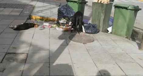 Pleno centro
