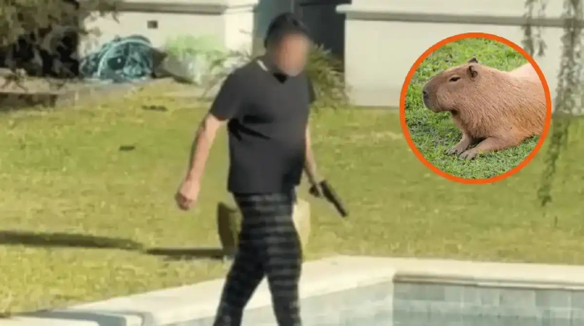 Denuncia penal de la Defensoría del Pueblo tras los disparos contra carpinchos en Nordelta.