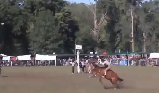 Con récord de público, se celebró la tradicional fiesta de La Pastora