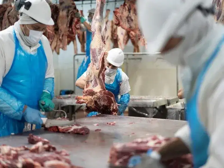 carne