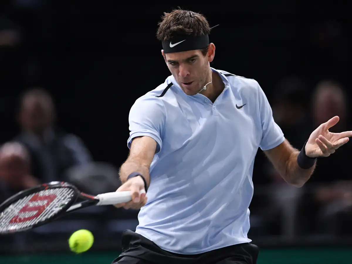 Del Potro perdió la final en Auckland
