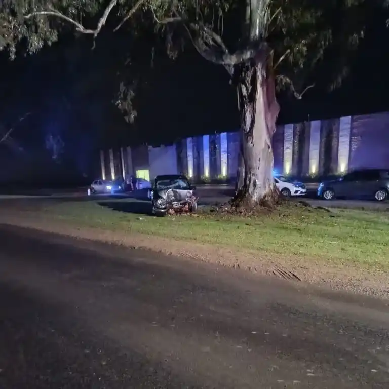 Un conductor que viajaba a Gualeguaychú chocó contra un árbol en la Ruta 20 y fue trasladado al Hospital Centenario