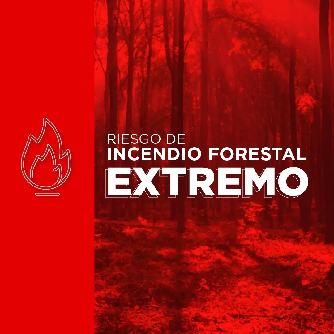 Incendio forestal