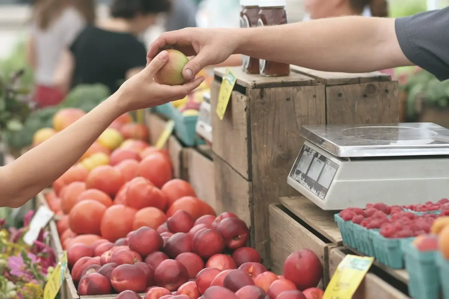 Las ventas minoristas pyme cayeron 0,2% interanual en agosto - 2