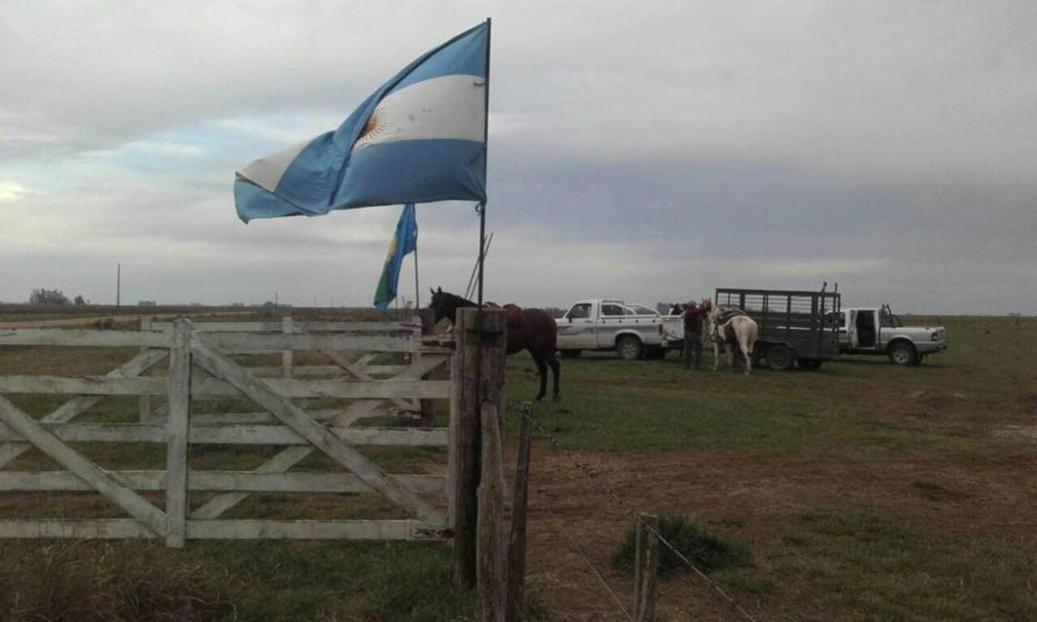 La Provincia recuperó un  lote ganadero en Rauch