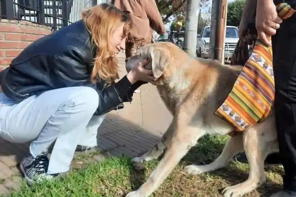 Emocionante hecho en la región: un perro se reencontró con su familia después de 5 años