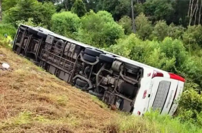 Una turista argentina y su hijo de tres años murieron al desbarrancar un micro en Brasil
