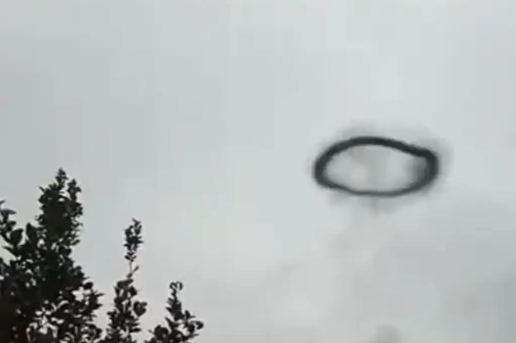 Varios testigos filmaron con sus celulares el particular evento.