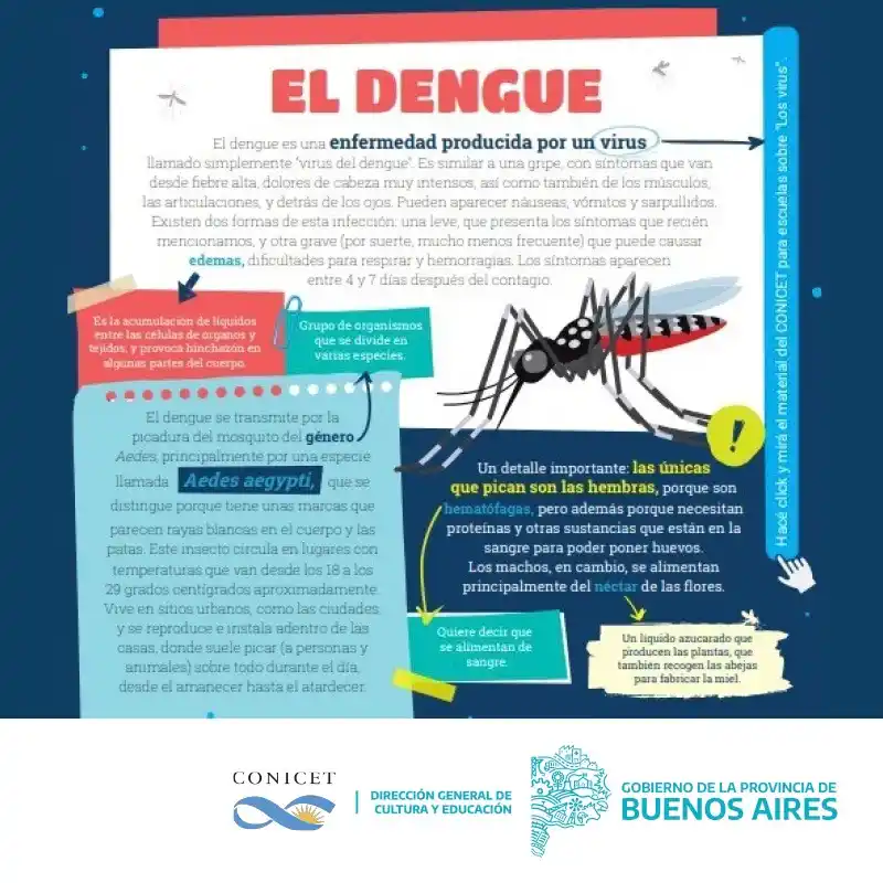 Alumnos bonaerenses cuentan con material educativo realizado por científicos de Conicet