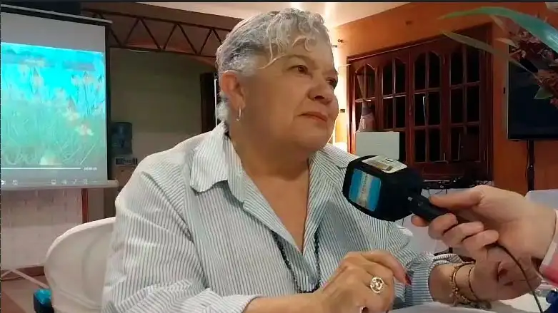 Mercedes Alonso