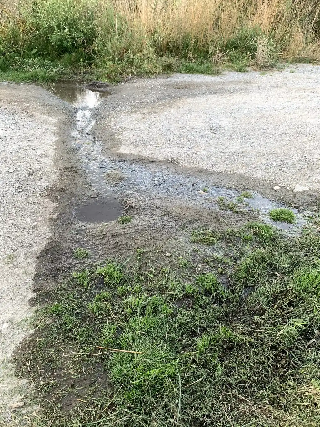 El barrio Manantiales exige soluciones por los efluentes cloacales en las calles 
