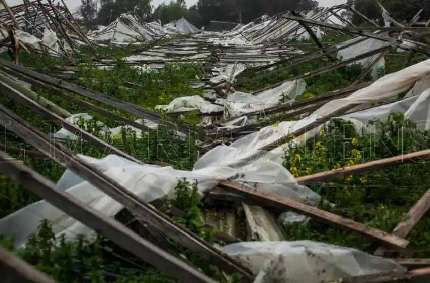 Frutihortícolas: "Esperamos con ansias que llegue algún beneficio"