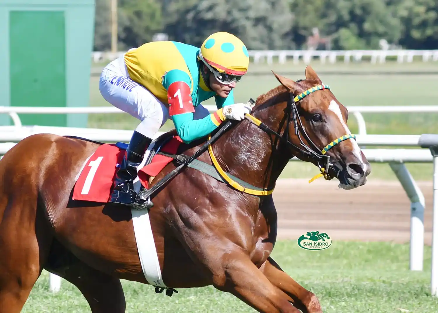 Amor del Bueno vuelve a San Isidro para conquistar el Clásico Velocidad (G3).