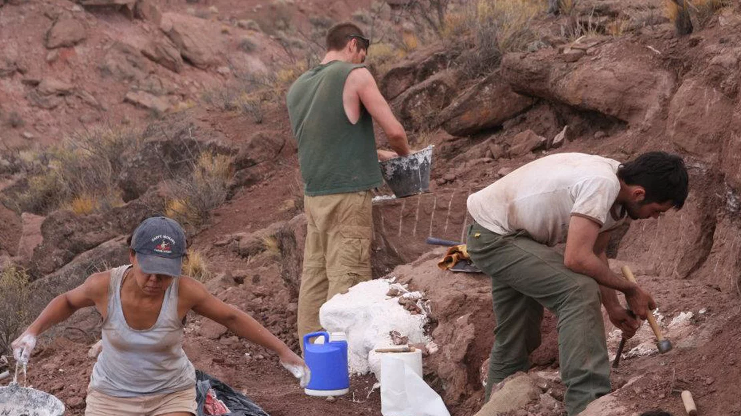 Descubrieron un dinosaurio herbívoro de 93 millones de años en Argentina